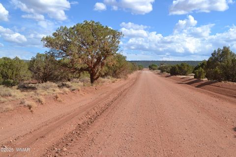 Tiny photo for 4161 Colt Road, Snowflake, AZ 85937 (MLS # 256893)