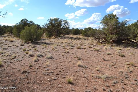 Tiny photo for 4161 Colt Road, Snowflake, AZ 85937 (MLS # 256893)