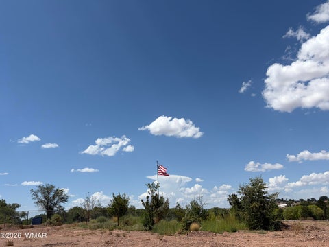 Tiny photo for 1147 S Hoyt Road, Snowflake, AZ 85937 (MLS # 262962)