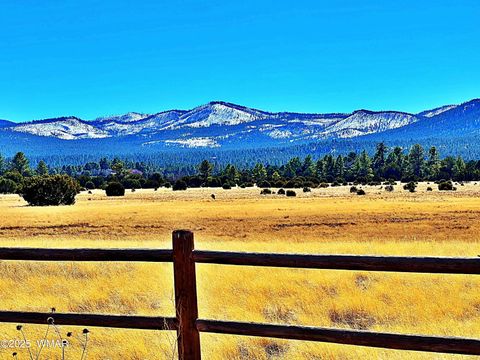Photo of Lot 4 106-67-026T, Vernon, AZ 85940 (MLS # 258272)