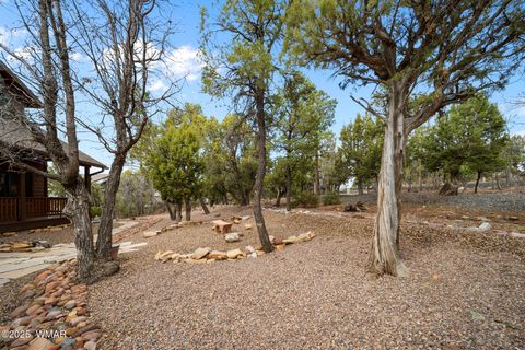 Tiny photo for 1610 S Canyon Ridge Trail, Show Low, AZ 85901 (MLS # 255291)