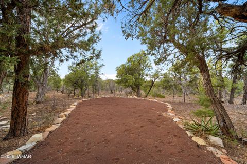 Tiny photo for 1610 S Canyon Ridge Trail, Show Low, AZ 85901 (MLS # 255291)