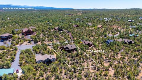 Tiny photo for 1610 S Canyon Ridge Trail, Show Low, AZ 85901 (MLS # 255291)