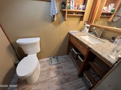 Tiny photo for 9785 Hansa Trail, Snowflake, AZ 85937 (MLS # 259353)