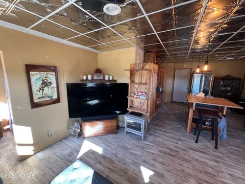 Tiny photo for 9785 Hansa Trail, Snowflake, AZ 85937 (MLS # 259353)