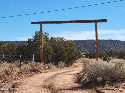 Tiny photo for 4596 El Dorado Road, Snowflake, AZ 85937 (MLS # 256265)