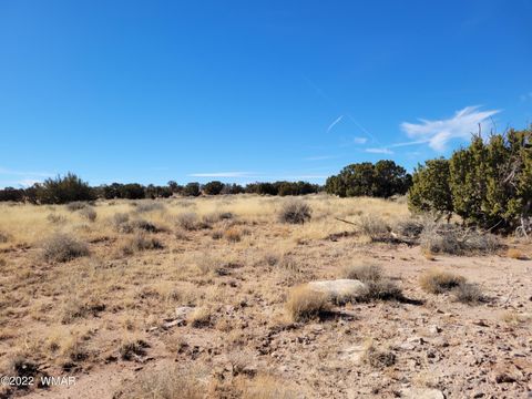 Tiny photo for 4596 El Dorado Road, Snowflake, AZ 85937 (MLS # 256265)