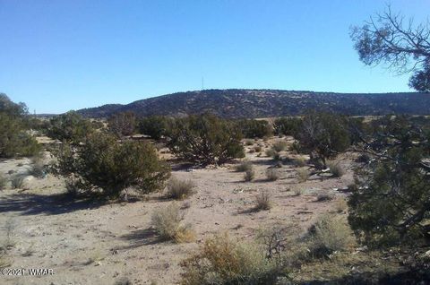 Photo of 4596 El Dorado Road, Snowflake, AZ 85937 (MLS # 256265)