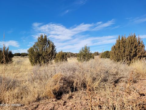 Tiny photo for 4596 El Dorado Road, Snowflake, AZ 85937 (MLS # 256265)