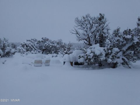 Tiny photo for 4596 El Dorado Road, Snowflake, AZ 85937 (MLS # 256265)
