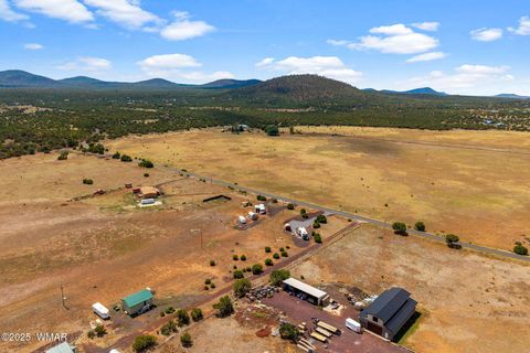 Tiny photo for 114 County Rd 3398, Vernon, AZ 85940 (MLS # 257791)