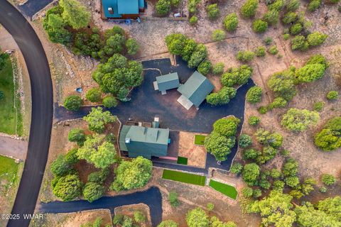 Tiny photo for 1466 Low Mountain Trail, Heber, AZ 85928 (MLS # 256674)