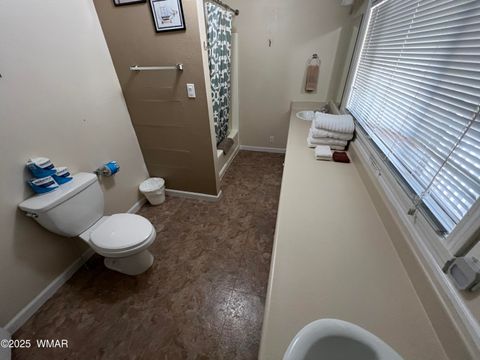 Tiny photo for 201 S 6Th Place, Show Low, AZ 85901 (MLS # 257403)