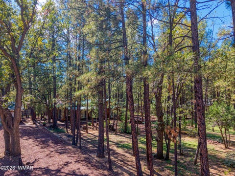 Tiny photo for 2699 Summer Drive, Lakeside, AZ 85929 (MLS # 263483)