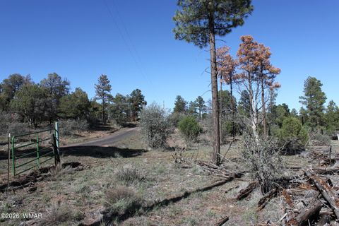 Tiny photo for 1663 Cactus Flower Road, Show Low, AZ 85901 (MLS # 260643)