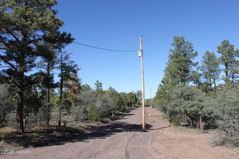 Tiny photo for 1663 Cactus Flower Road, Show Low, AZ 85901 (MLS # 260643)