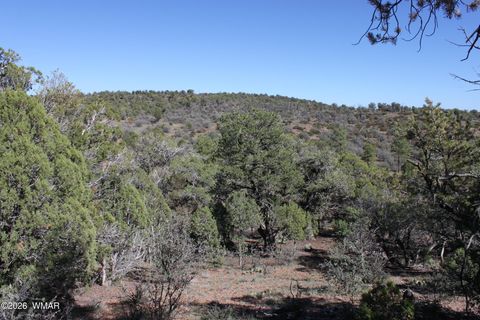 Tiny photo for 1663 Cactus Flower Road, Show Low, AZ 85901 (MLS # 260643)