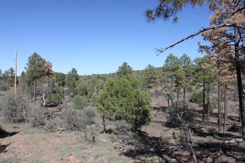 Photo of 1663 Cactus Flower Road, Show Low, AZ 85901 (MLS # 260643)
