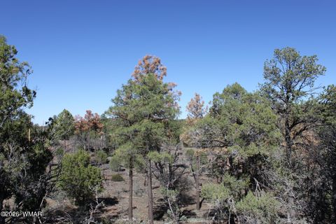 Tiny photo for 1663 Cactus Flower Road, Show Low, AZ 85901 (MLS # 260643)