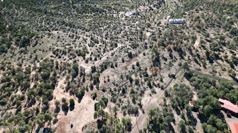 Tiny photo for 1663 Cactus Flower Road, Show Low, AZ 85901 (MLS # 260643)