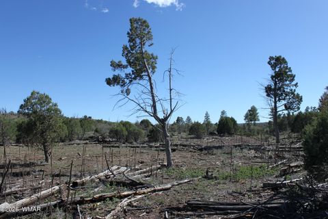 Tiny photo for 1663 Cactus Flower Road, Show Low, AZ 85901 (MLS # 260643)