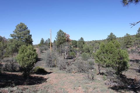 Tiny photo for 1663 Cactus Flower Road, Show Low, AZ 85901 (MLS # 260643)