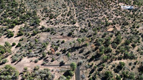 Tiny photo for 1663 Cactus Flower Road, Show Low, AZ 85901 (MLS # 260643)