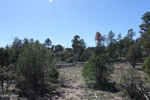 Tiny photo for 1663 Cactus Flower Road, Show Low, AZ 85901 (MLS # 260643)