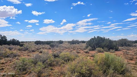Tiny photo for 4427 E Pinto Road, Snowflake, AZ 85937 (MLS # 256415)