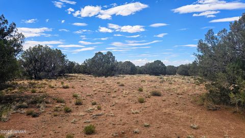 Tiny photo for 4427 E Pinto Road, Snowflake, AZ 85937 (MLS # 256415)