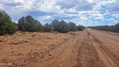 Photo of 4427 E Pinto Road, Snowflake, AZ 85937 (MLS # 256415)