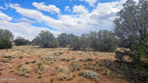 Tiny photo for 4427 E Pinto Road, Snowflake, AZ 85937 (MLS # 256415)