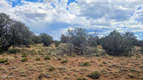 Tiny photo for 4427 E Pinto Road, Snowflake, AZ 85937 (MLS # 256415)