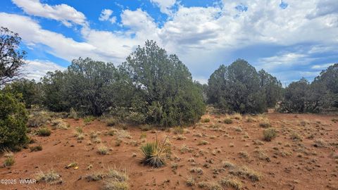 Tiny photo for 4427 E Pinto Road, Snowflake, AZ 85937 (MLS # 256415)