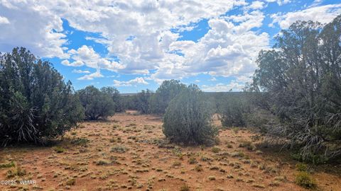 Tiny photo for 4427 E Pinto Road, Snowflake, AZ 85937 (MLS # 256415)