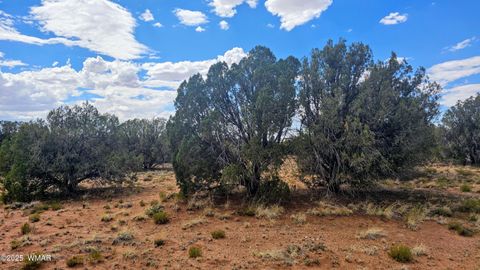 Tiny photo for 4427 E Pinto Road, Snowflake, AZ 85937 (MLS # 256415)