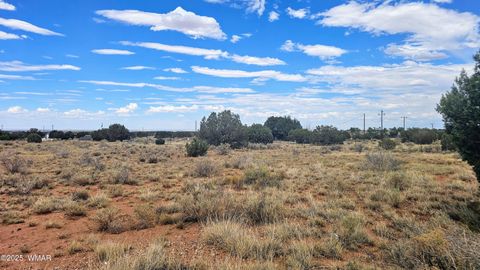 Tiny photo for 4427 E Pinto Road, Snowflake, AZ 85937 (MLS # 256415)
