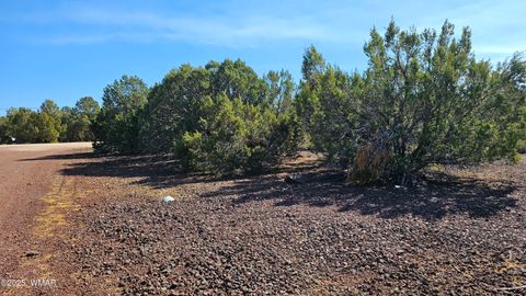 Tiny photo for 41 Acr 3119, Vernon, AZ 85940 (MLS # 258565)
