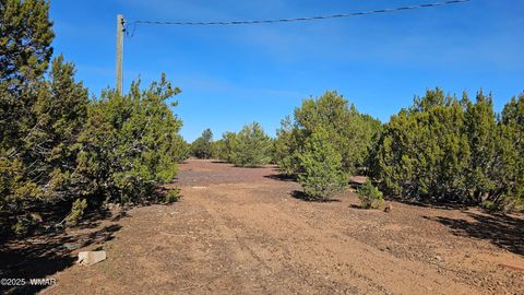 Photo of 41 Acr 3119, Vernon, AZ 85940 (MLS # 258565)
