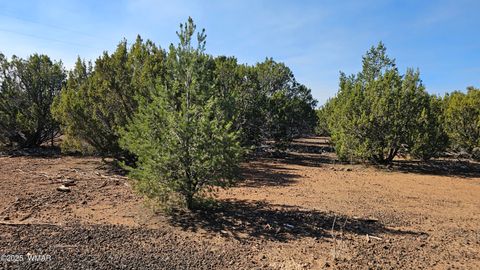 Tiny photo for 41 Acr 3119, Vernon, AZ 85940 (MLS # 258565)