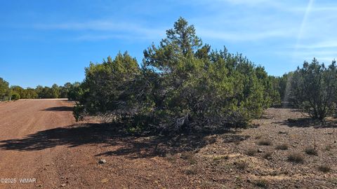 Tiny photo for 41 Acr 3119, Vernon, AZ 85940 (MLS # 258565)