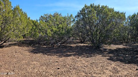 Tiny photo for 41 Acr 3119, Vernon, AZ 85940 (MLS # 258565)