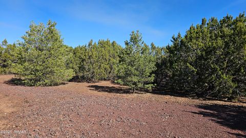Tiny photo for 41 Acr 3119, Vernon, AZ 85940 (MLS # 258565)