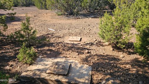 Tiny photo for 41 Acr 3119, Vernon, AZ 85940 (MLS # 258565)