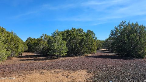 Tiny photo for 41 Acr 3119, Vernon, AZ 85940 (MLS # 258565)