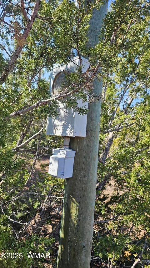 Tiny photo for 41 Acr 3119, Vernon, AZ 85940 (MLS # 258565)