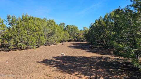 Tiny photo for 41 Acr 3119, Vernon, AZ 85940 (MLS # 258565)