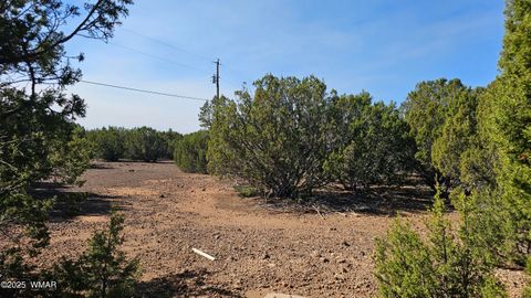 Tiny photo for 41 Acr 3119, Vernon, AZ 85940 (MLS # 258565)