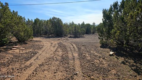 Tiny photo for 41 Acr 3119, Vernon, AZ 85940 (MLS # 258565)