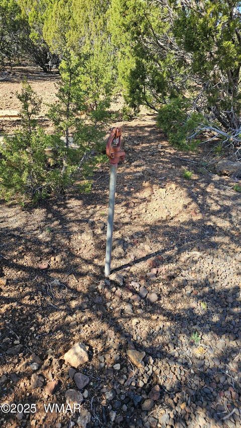 Tiny photo for 41 Acr 3119, Vernon, AZ 85940 (MLS # 258565)